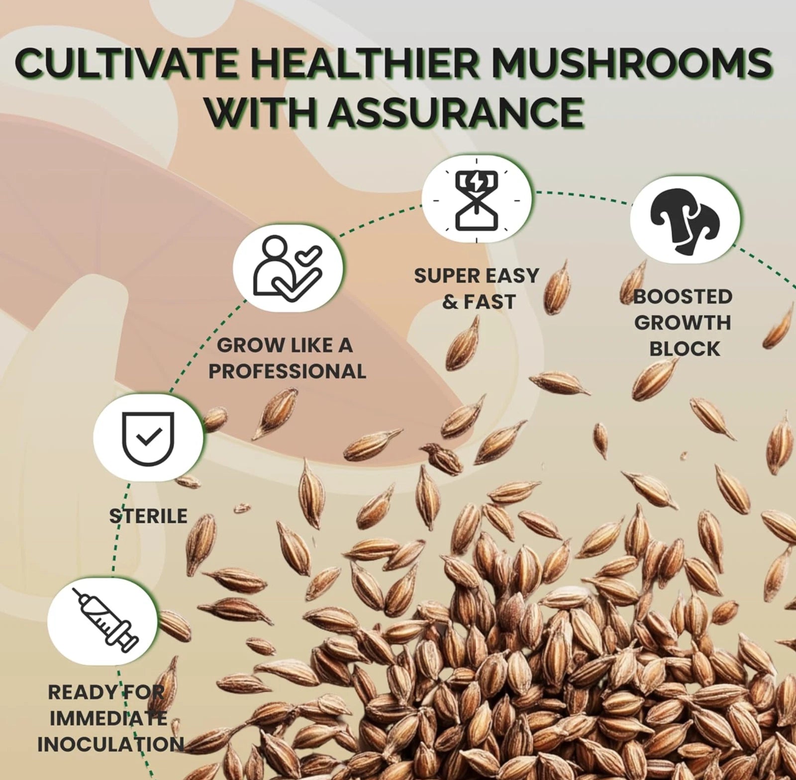 12 x One Pound Sterilized Rye Grain Bags with Injection Ports Mushroom Substrate