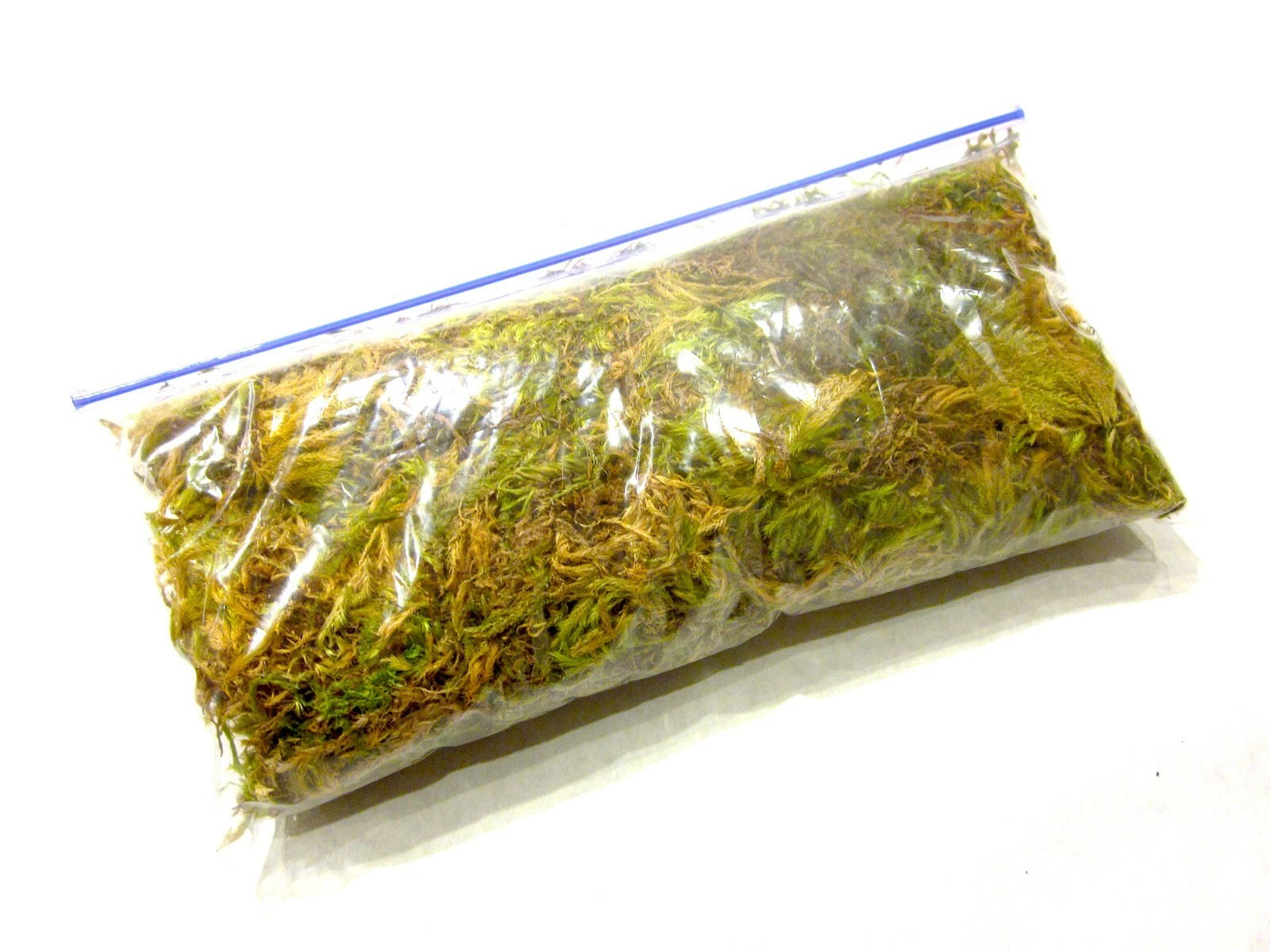 1 oz Dried Forest Moss Organic, Snack Bag Garden Moss Terrarium Vivarium Garden
