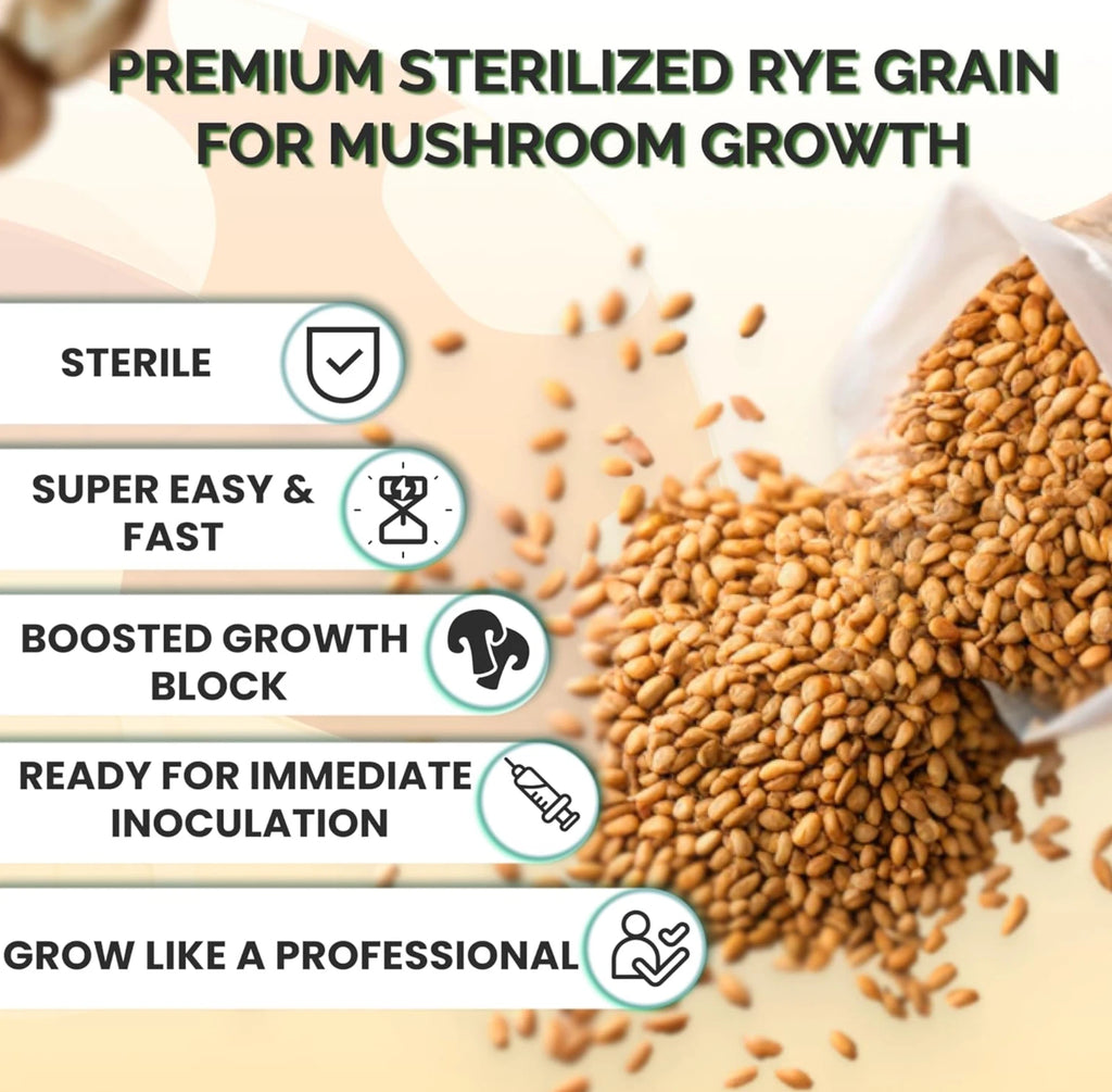 12 x One Pound Sterilized Rye Grain Bags with Injection Ports Mushroom Substrate