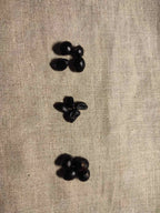 12 / 50 / 100 Seeds Tree Peony, Paeonia Rockii  - Hardy Perennial Flower