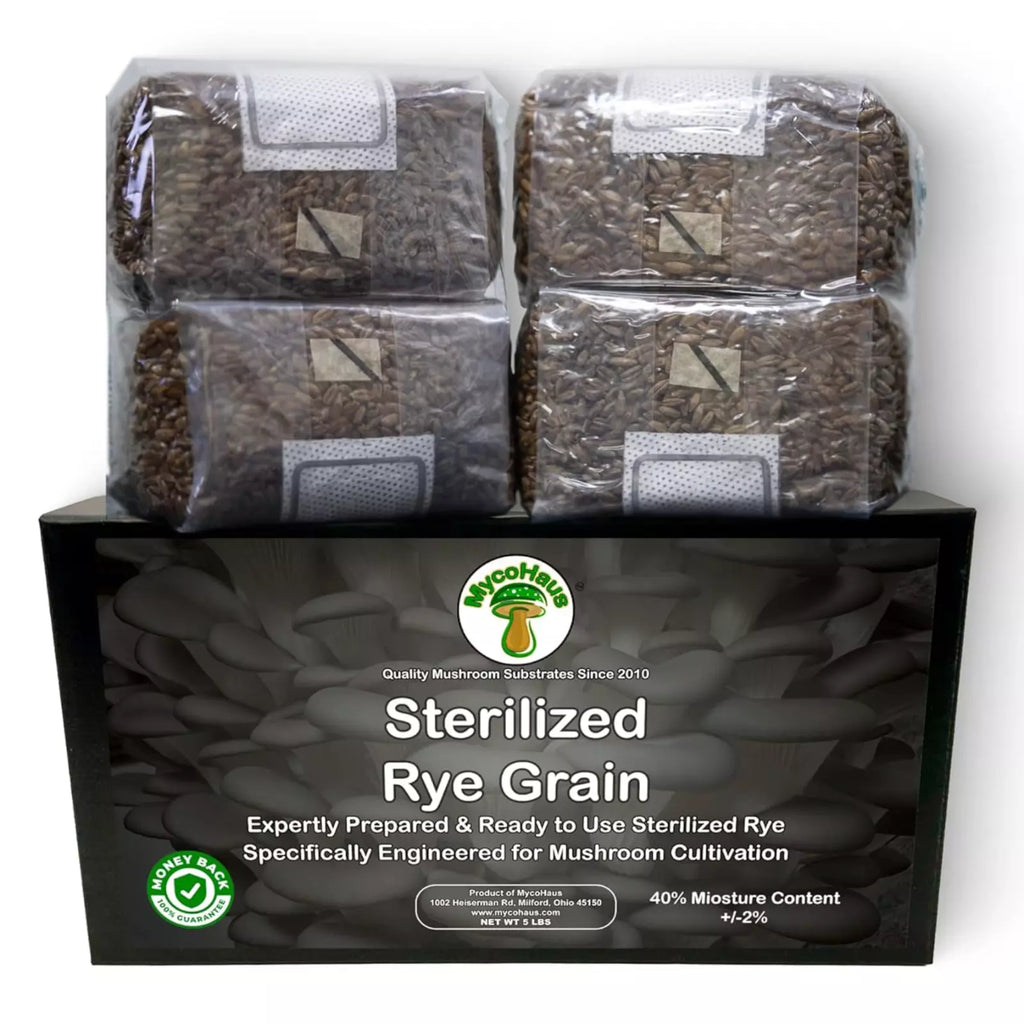 12 x One Pound Sterilized Rye Grain Bags with Injection Ports Mushroom Substrate
