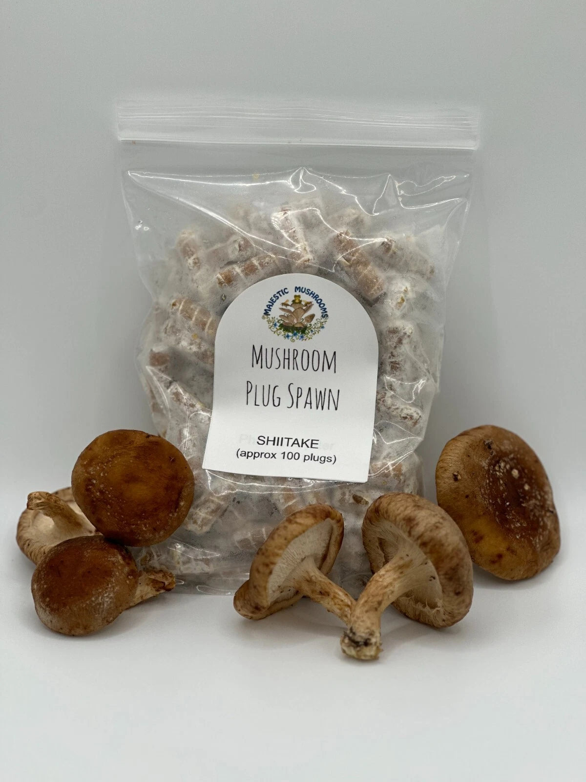 Shiitake Mushroom Plug Spawn 100x - FREE USA shipping - Grow mushrooms on logs!