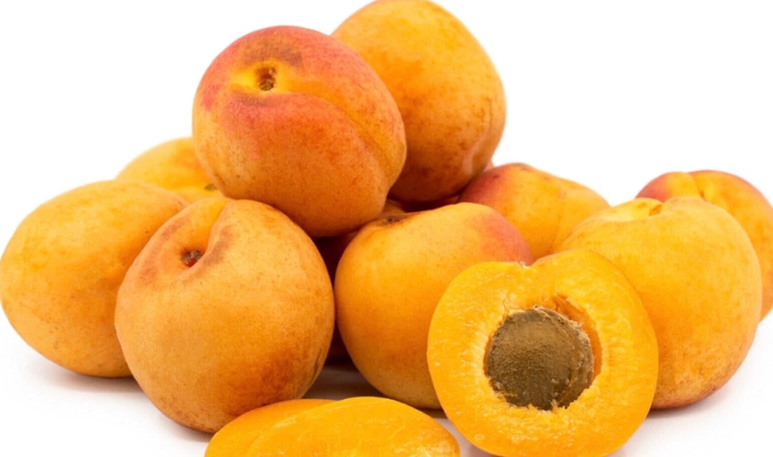 5 Organic Rare Delicious Royal Apricot live Cuttings for grafting Guaranteed.