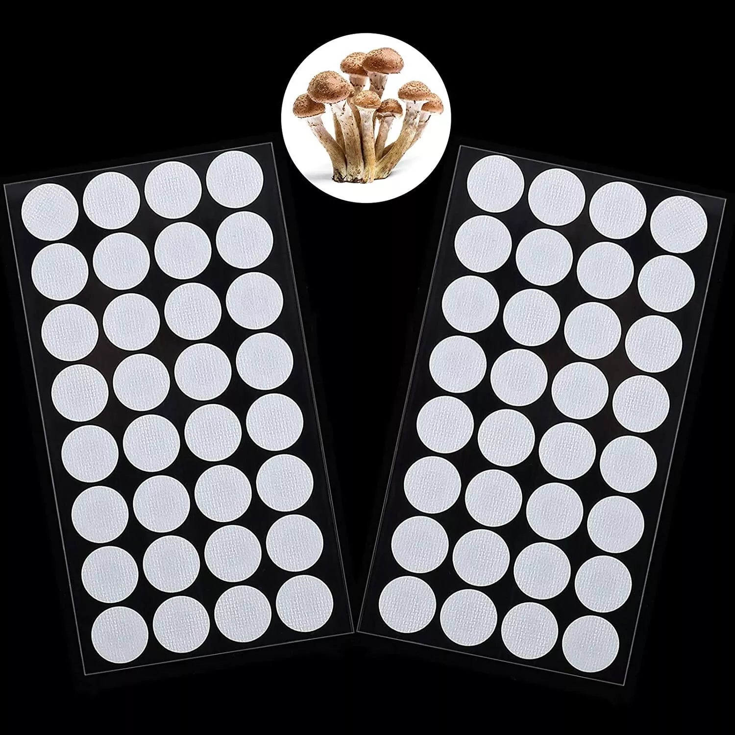 64 Synthetic Filter Paper Stickers 20mm 0.3 ¦Ìm Filter Disc Mushroom Cultivation
