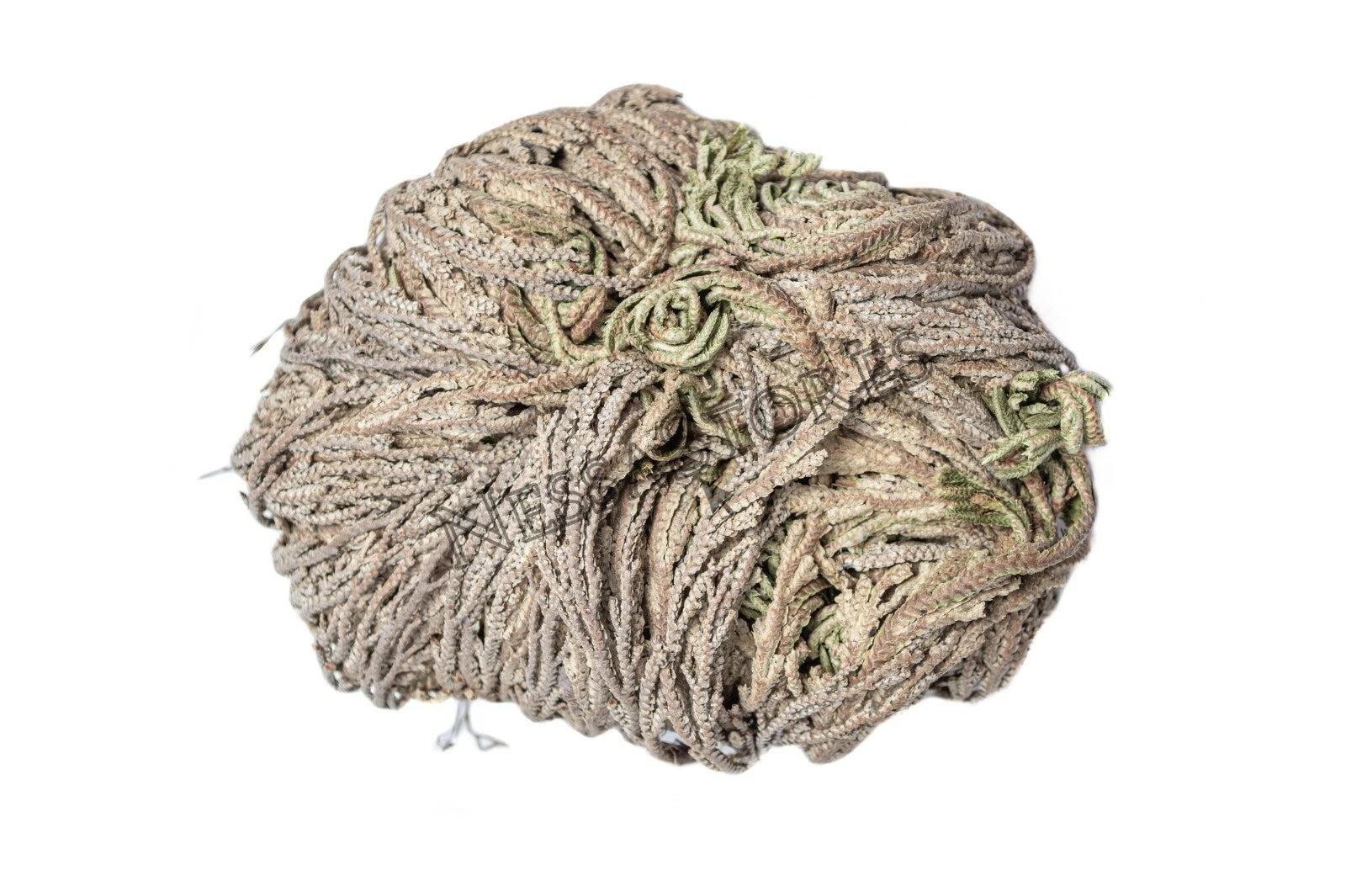 NessaStores- Rose Of Jericho 3-4 Resurrection Plant 1 pc #JC-164