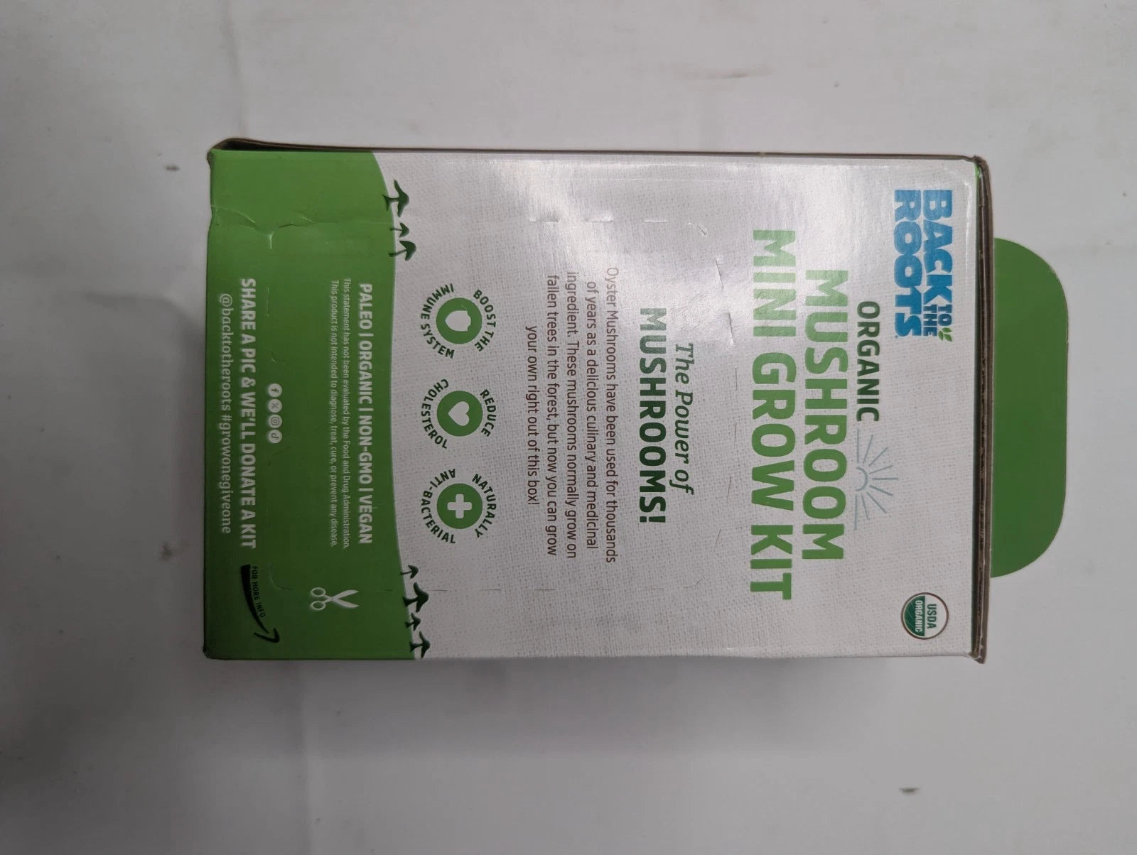 Back To The Roots Organic Mini Pearl Oyster Mushroom Grow Kit