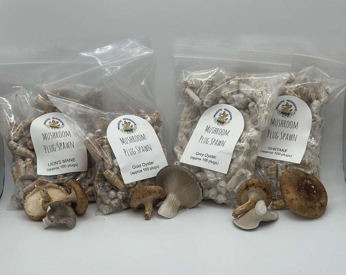 Mushroom plug spawn variety pack 4 100 packs