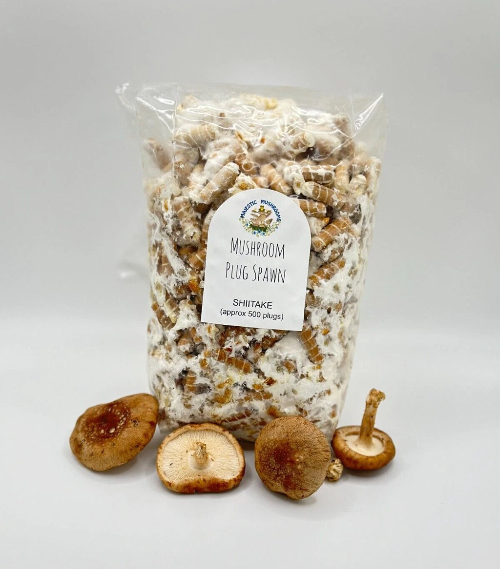 Shiitake Mushroom Plug Spawn 500X - FREE USA shipping