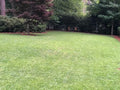 Bermuda Grass Seed 10 Pounds. Beautiful Lawn Grass Seed. Loves The Sun. 10lb.
