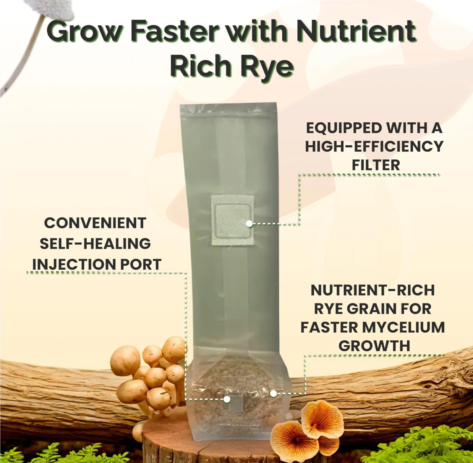 12 x One Pound Sterilized Rye Grain Bags with Injection Ports Mushroom Substrate