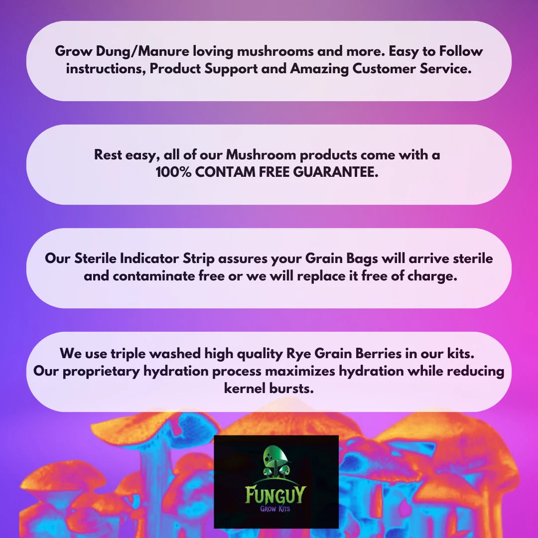 4x 1lb Sterile Mushroom Grain Spawn Bags ¨C Rye Berries Grow Kit Injection Ports