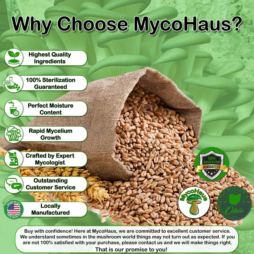 12 x One Pound Sterilized Rye Grain Bags with Injection Ports Mushroom Substrate