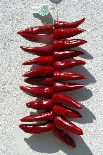 25 seeds of Piment d espelette  Gorria  from south west of France!!!!!