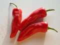 25 seeds of Piment d espelette  Gorria  from south west of France!!!!!