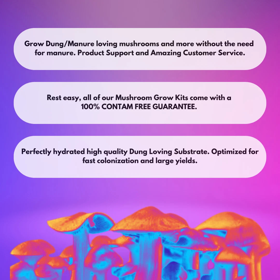 FunGuy Grow Kits - 4.5 lbs Dung Loving High Yield Mushroom Substrate Coco Coir