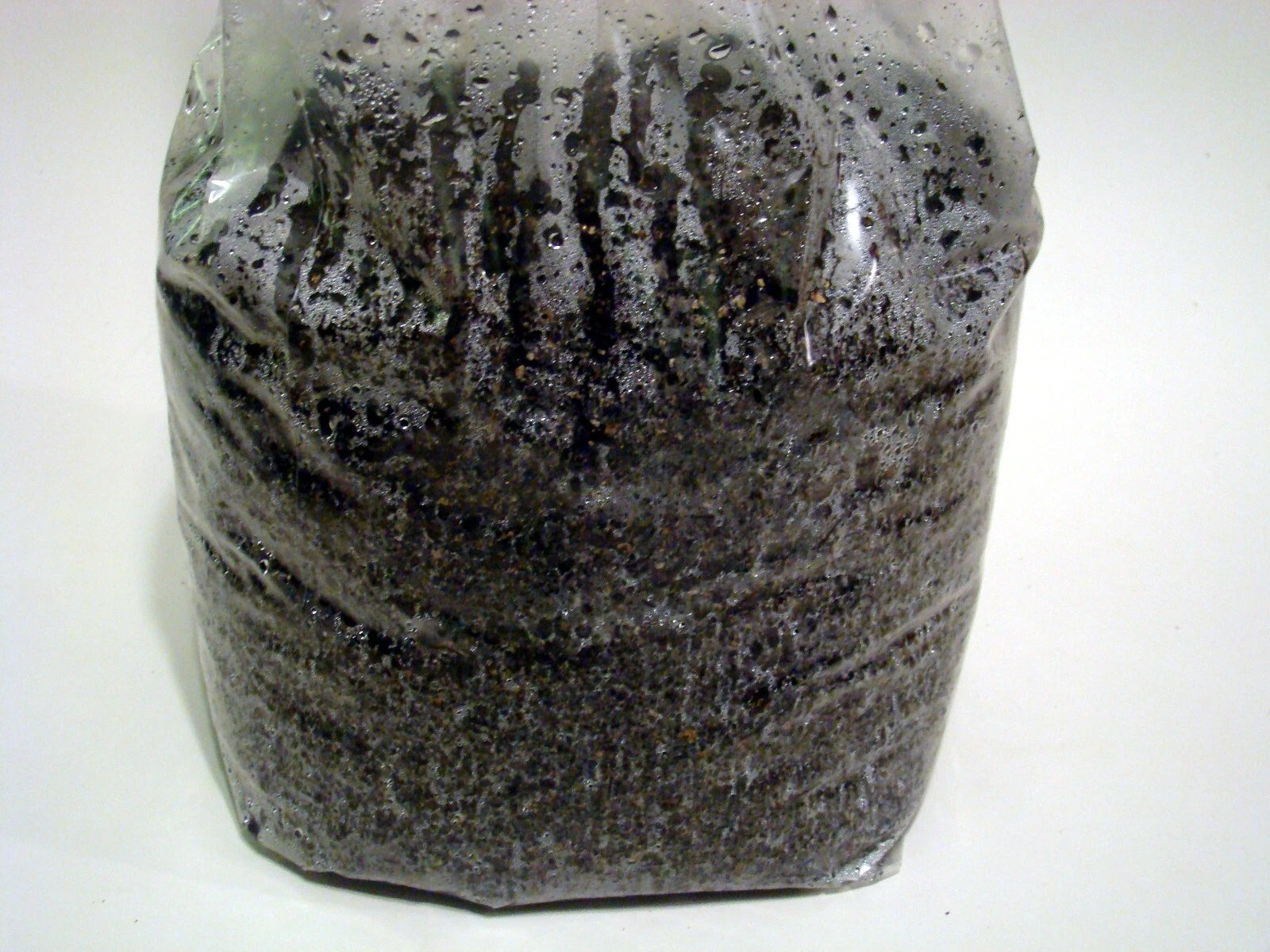 12 LBS Bulk Substrate Mushroom Grow Bag - Dung Lovers - Pasteurized