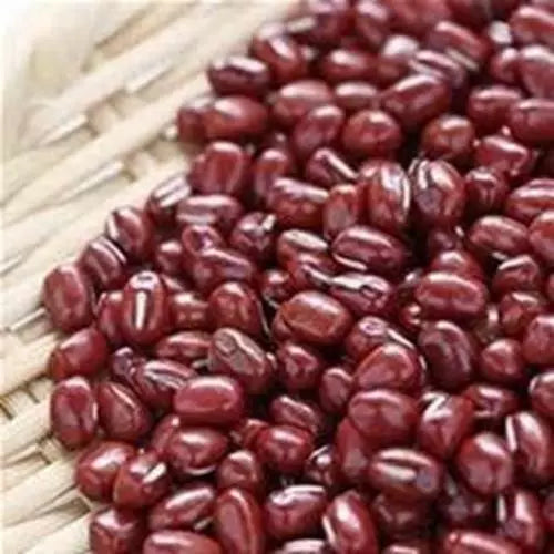 12 oz Adzuki Bean Seeds, Non-GMO Seed For Sprouting Sprouts Microgreens