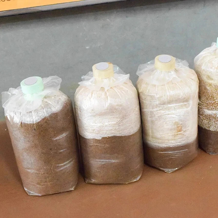 64 Synthetic Filter Paper Stickers 20mm 0.3 ¦Ìm Filter Disc Mushroom Cultivation