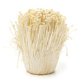 100 g of Enoki mushroom Grain Spawn US Seller!!!