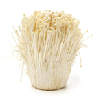 100 g of Enoki mushroom Grain Spawn US Seller!!!