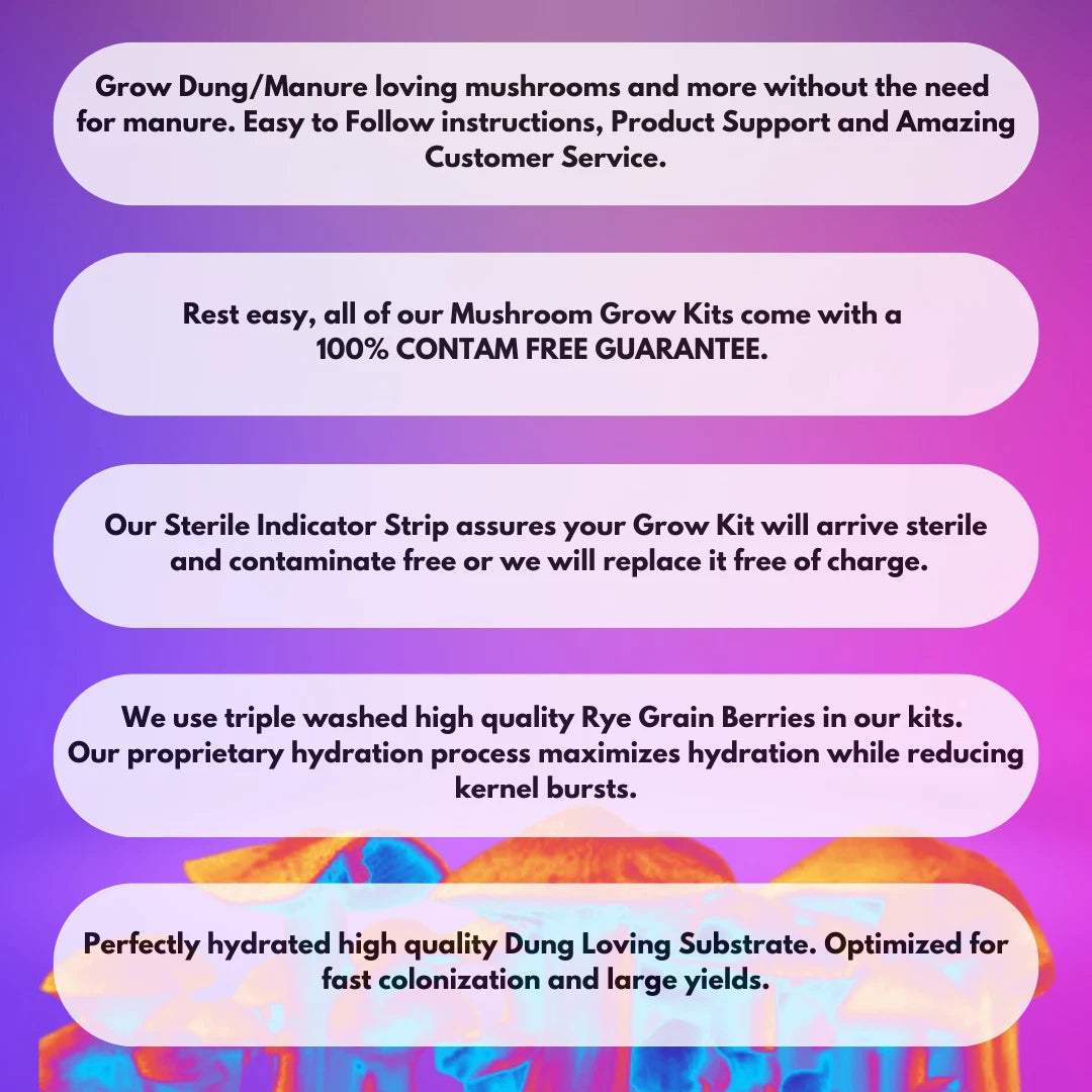 Mushroom Monotub Growing Kit -Rye Grain Spawn Bags Substrate How to Grow At Home