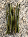 100 Austree Hybrid Willow Tree Cuttings  Extremely Fast Growing Trees.