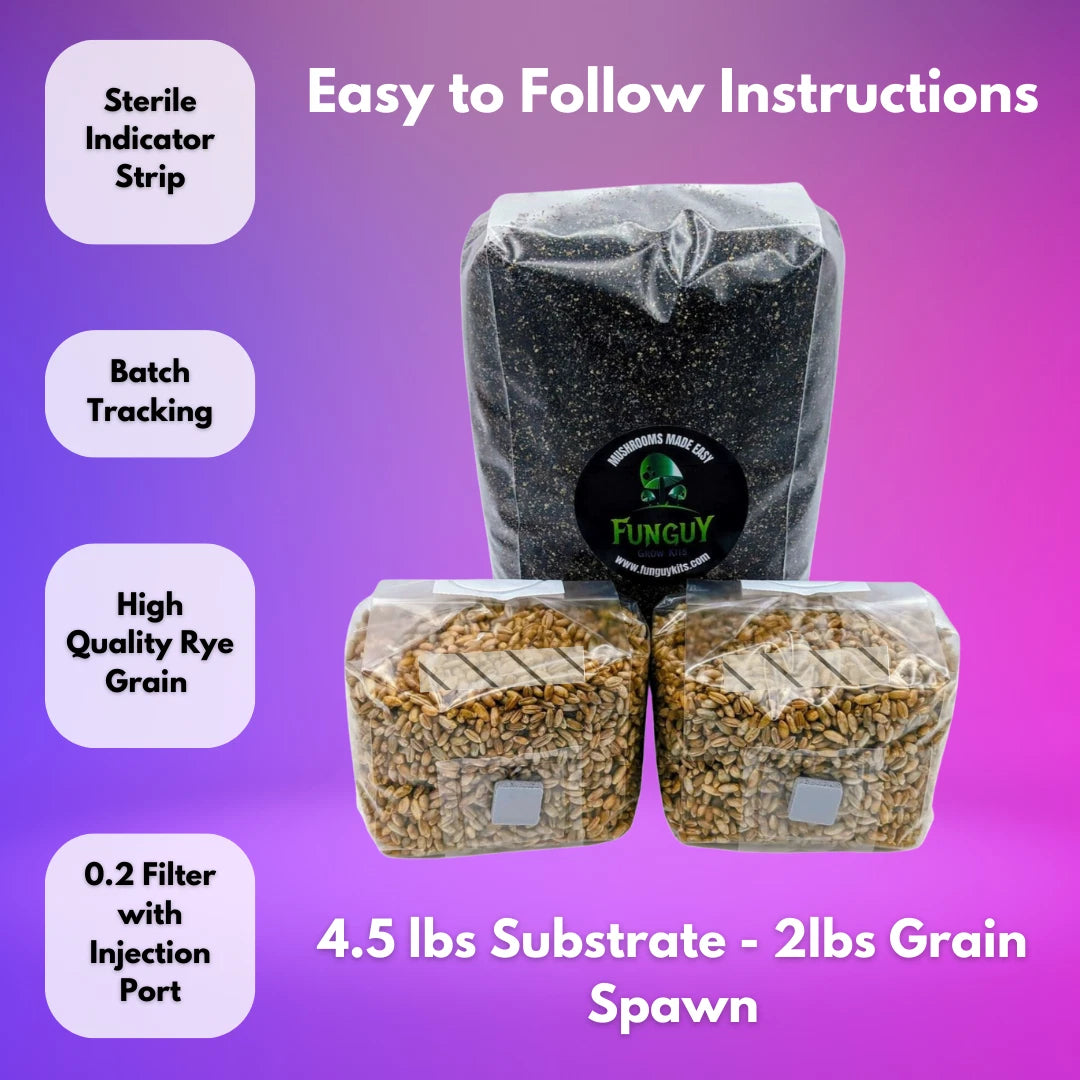 Mushroom Monotub Growing Kit -Rye Grain Spawn Bags Substrate How to Grow At Home