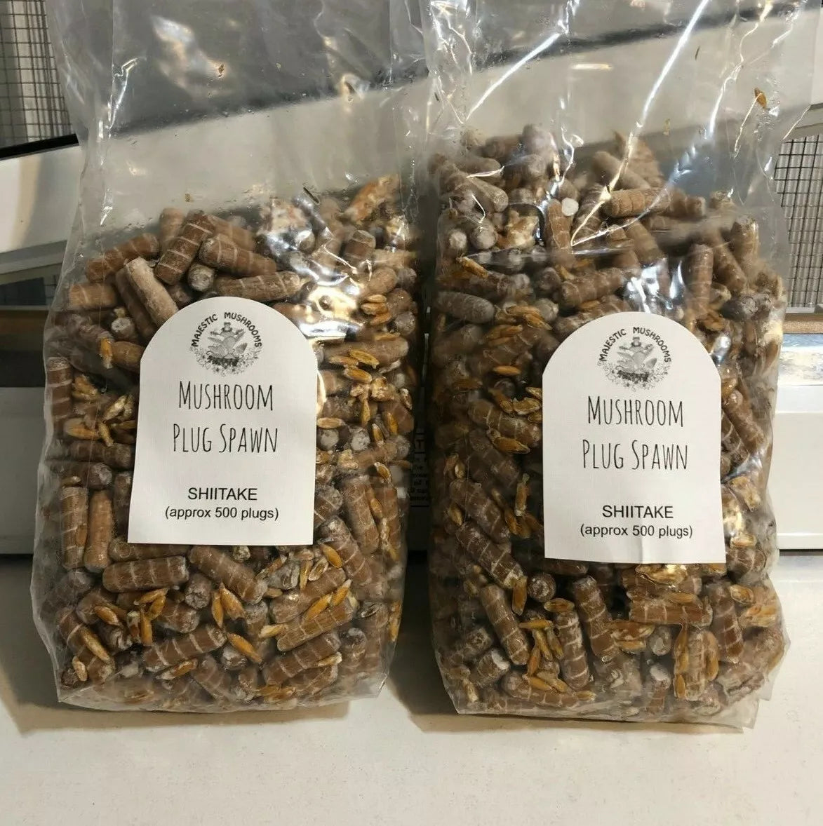 Shiitake Mushroom Plug Spawn 1000X - FREE USA shipping