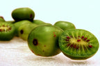 HARDY KIWI Actinidia Arguta - 30+ SEEDS