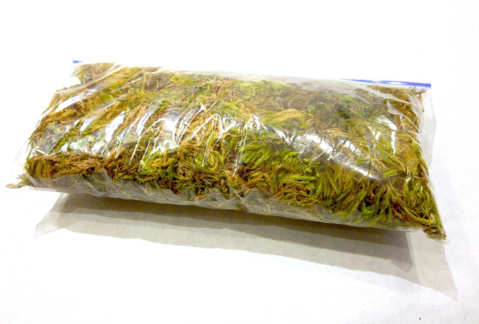 1 oz Dried Forest Moss Organic, Snack Bag Garden Moss Terrarium Vivarium Garden