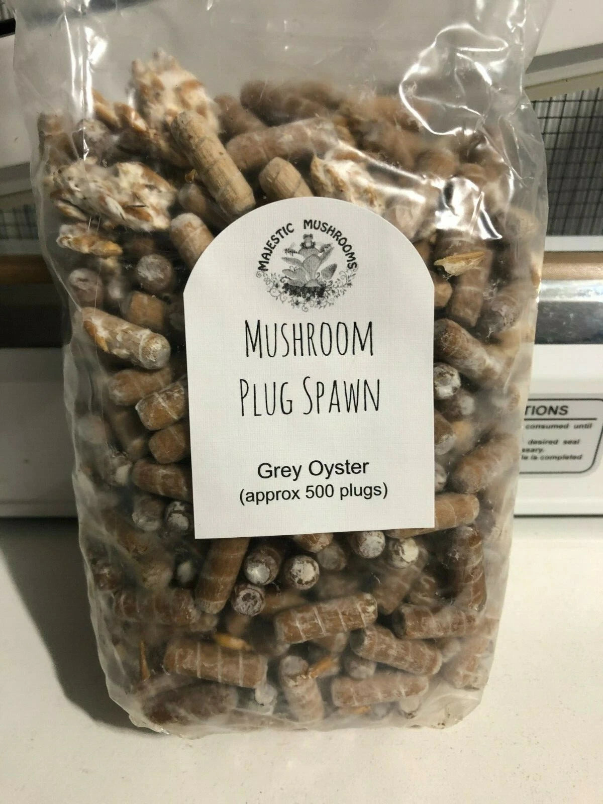 Grey Oyster Mushroom Plug Spawn 500X -FREE USA shipping