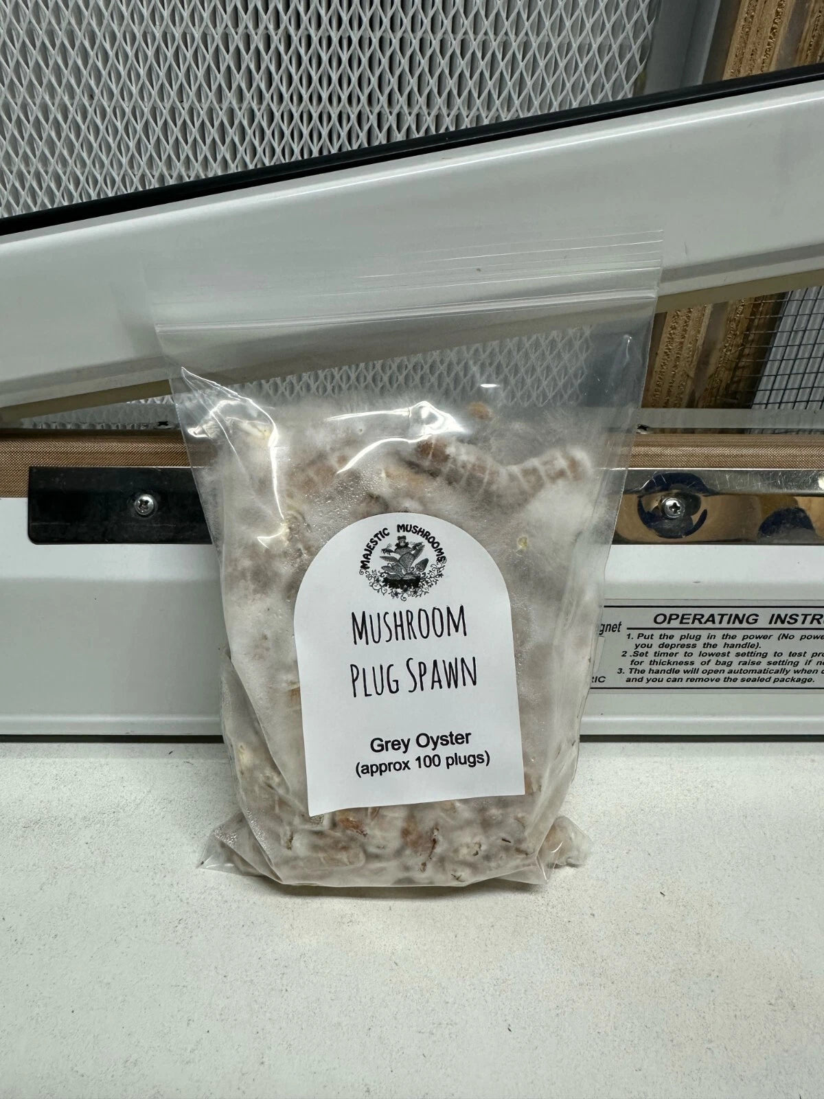 Grey Oyster Mushroom Plug Spawn 100X -FREE USA shipping