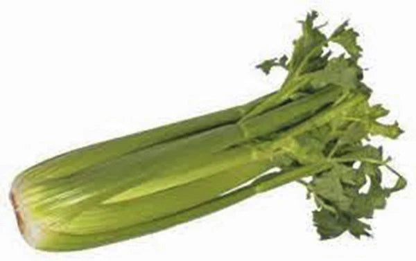 CELERY SEED, TENDERCRISP, 25+ SEEDS, HEIRLOOM, NON GMO, CELERY SEEDS