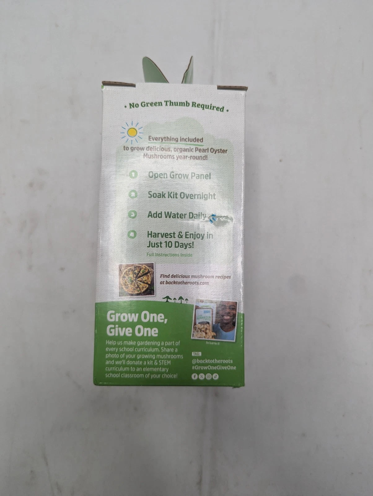 Back To The Roots Organic Mini Pearl Oyster Mushroom Grow Kit